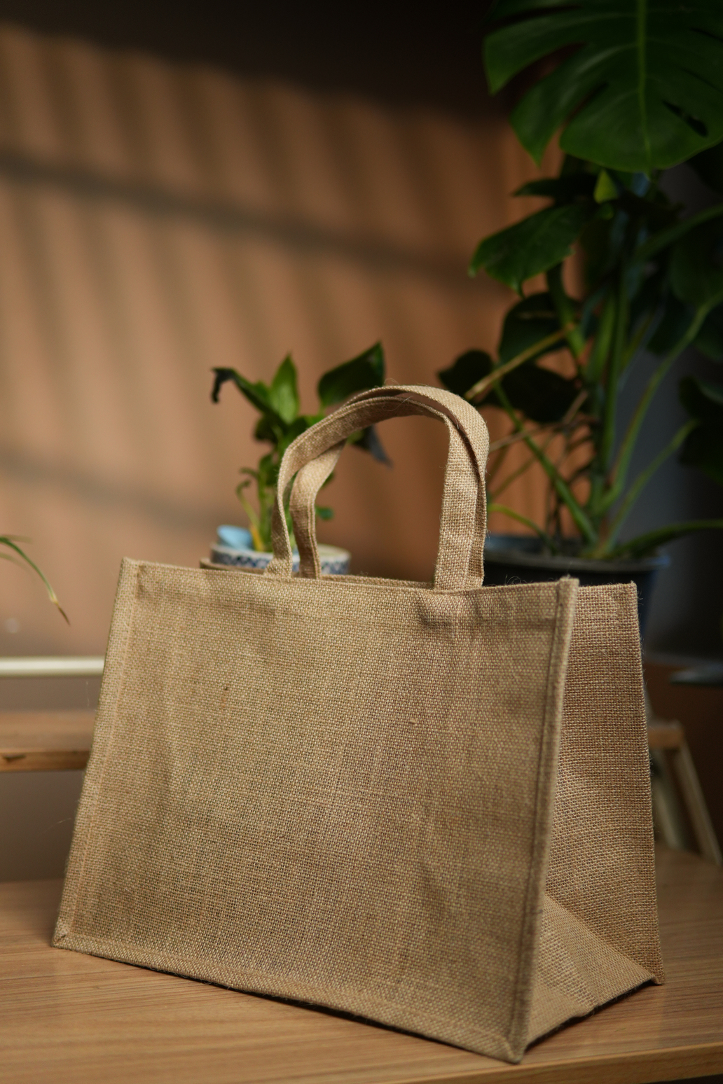 Natural Jute Bag