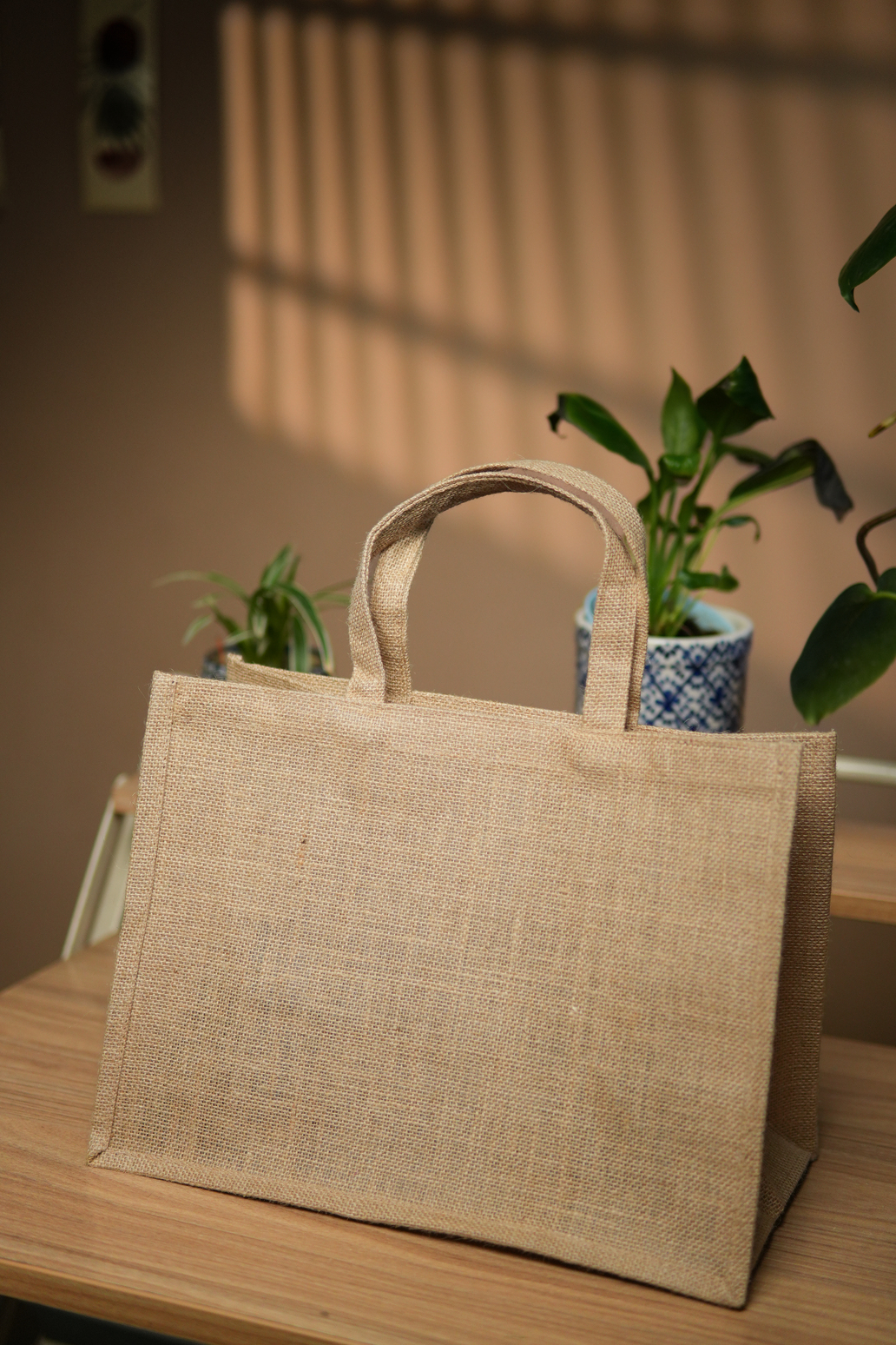 Natural Jute Bag